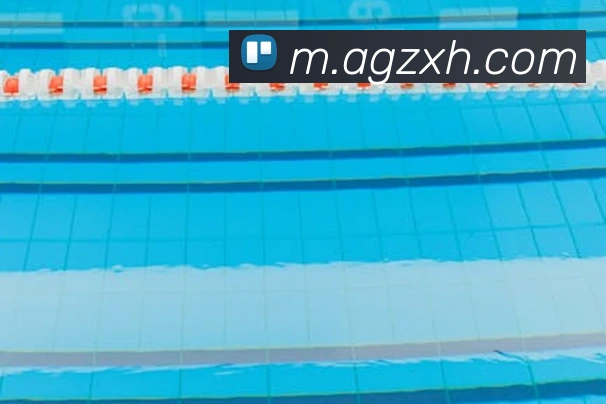 ag官网平台生态图