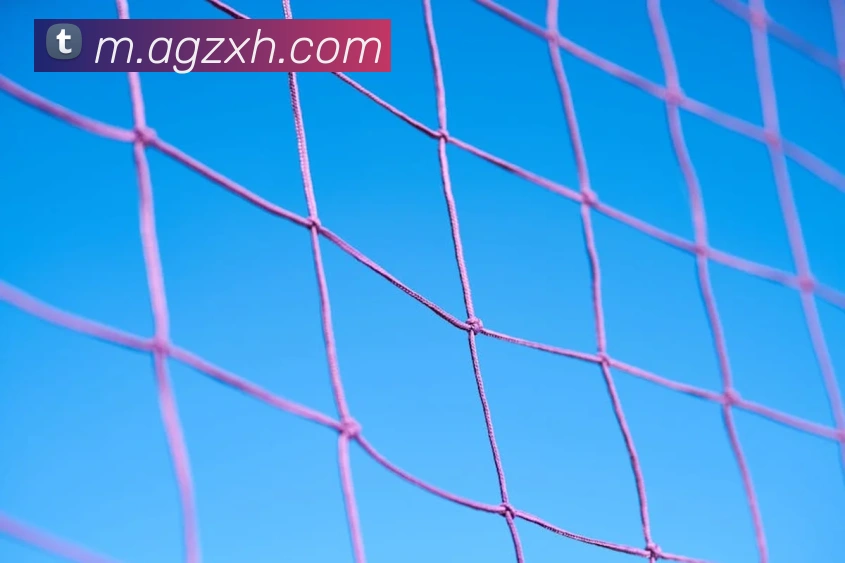 数据防护可视化